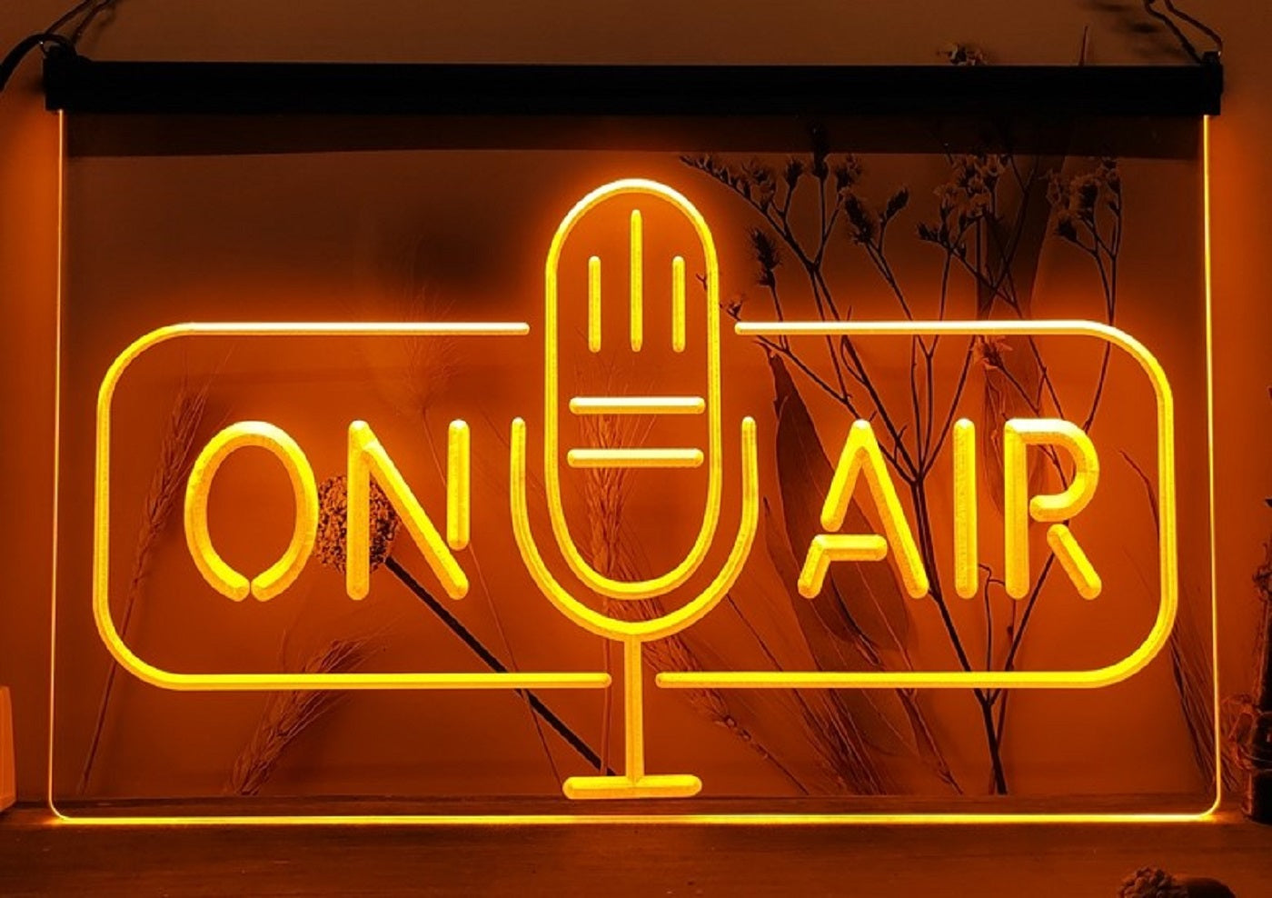 On Air Speaker Led Neon Sign Home Studio Room Audio Recording Studio Decor