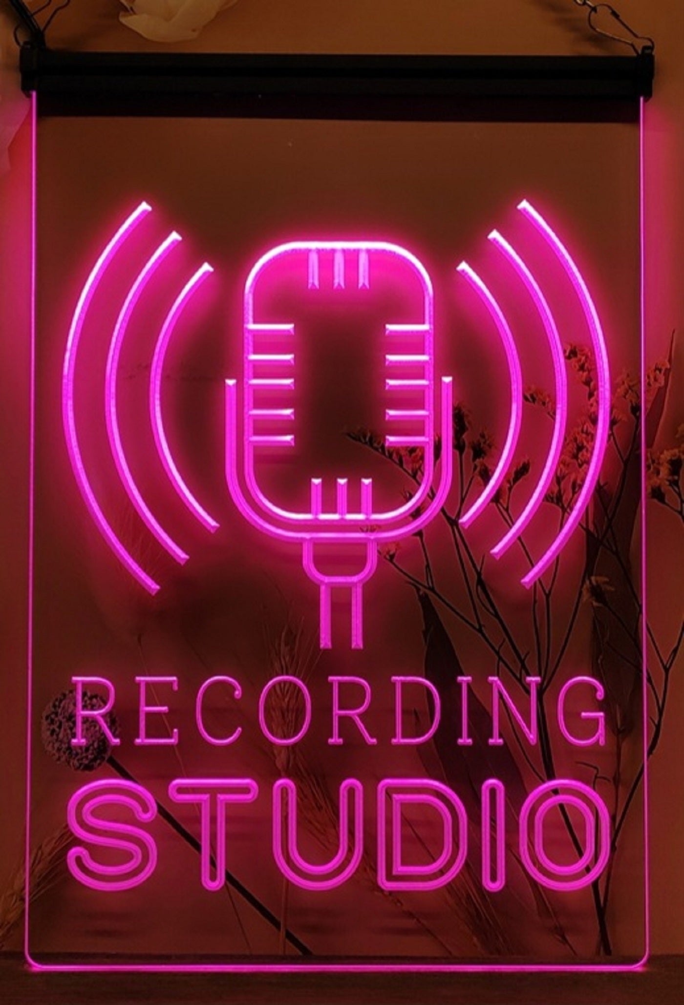 Recording Studio Waves Led Neon Sign Home Studio Room Audio Studio Decor