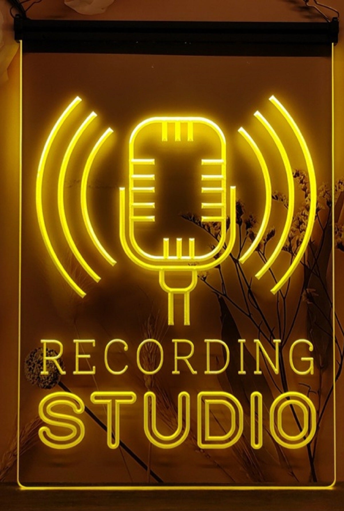 Recording Studio Waves Led Neon Sign Home Studio Room Audio Studio Decor