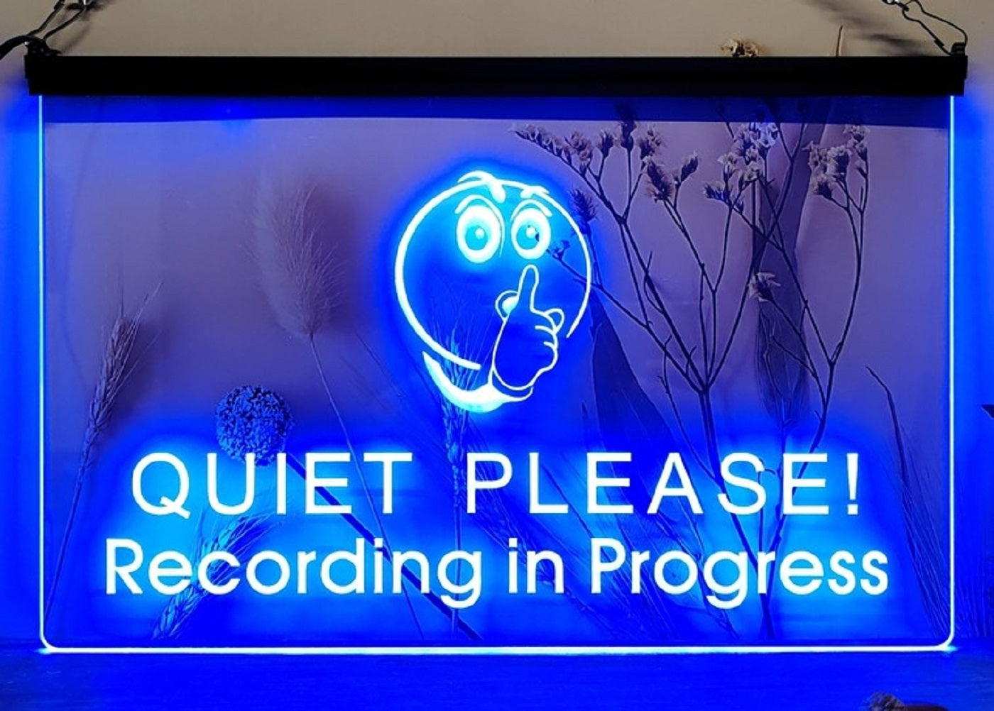 Quiet Please Recording In Progress Led Neon Sign Home Music Room Studio Decor