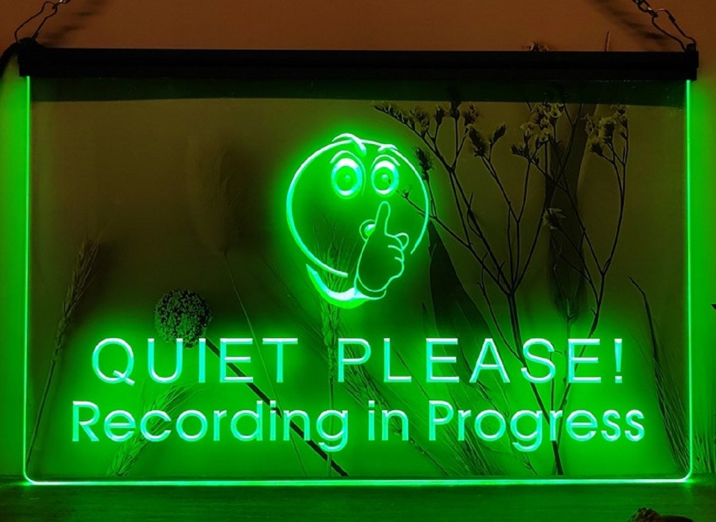 Quiet Please Recording In Progress Led Neon Sign Home Music Room Studio Decor