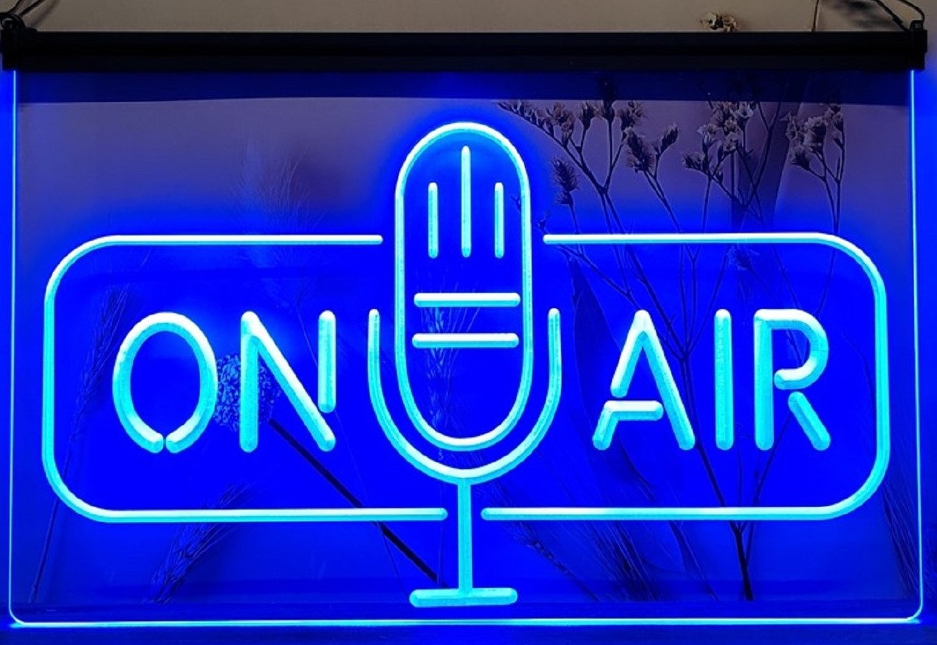 On Air Speaker Led Neon Sign Home Studio Room Audio Recording Studio Decor