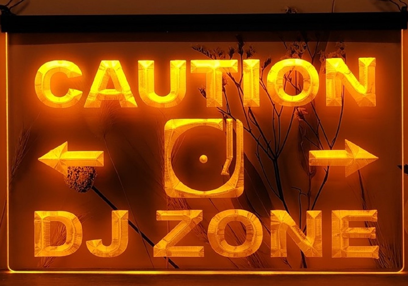 Caution DJ Zone Led Neon Sign Home Music Room Audio Recording Studio Decor