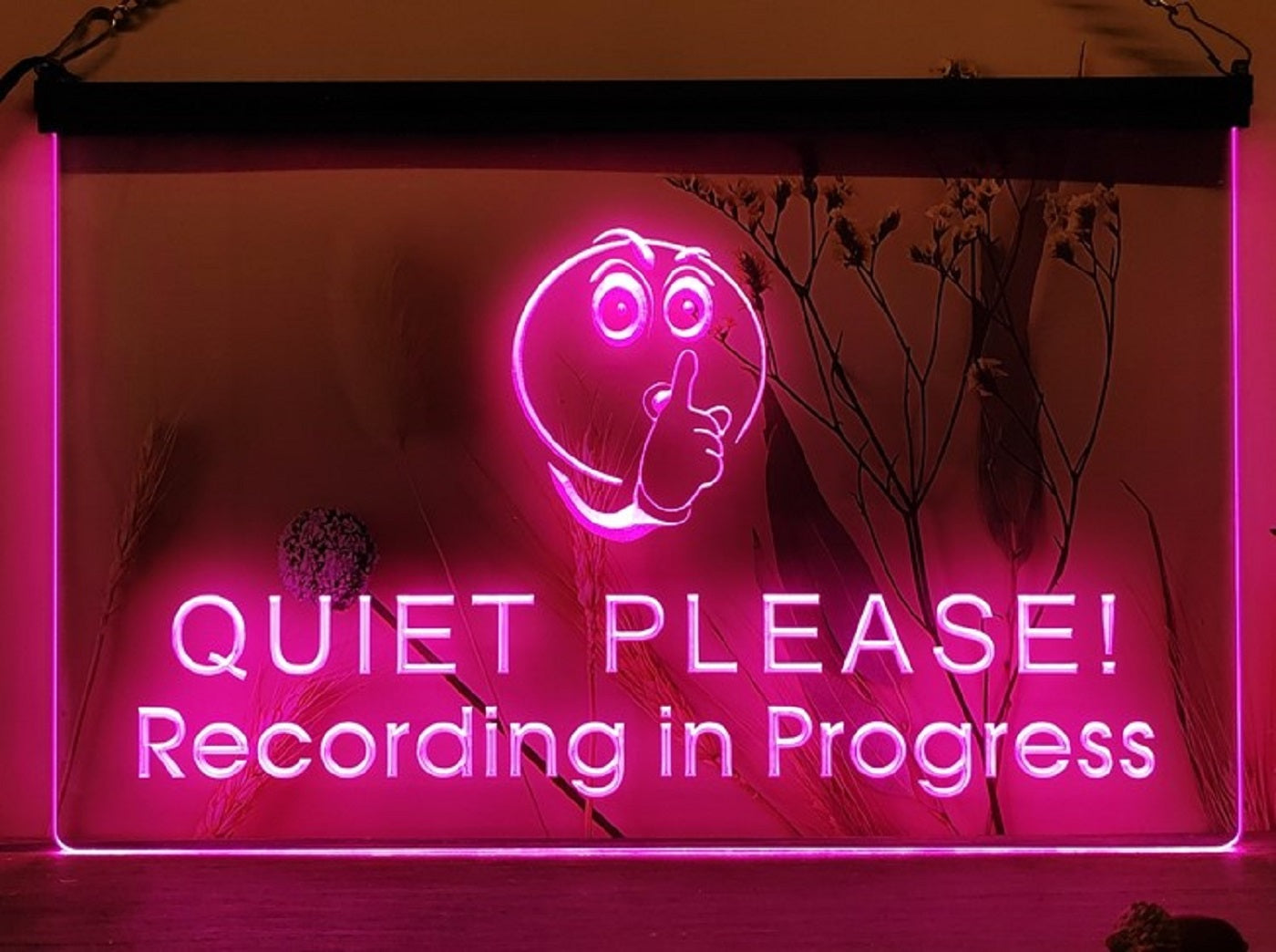 Quiet Please Recording In Progress Led Neon Sign Home Music Room Studio Decor