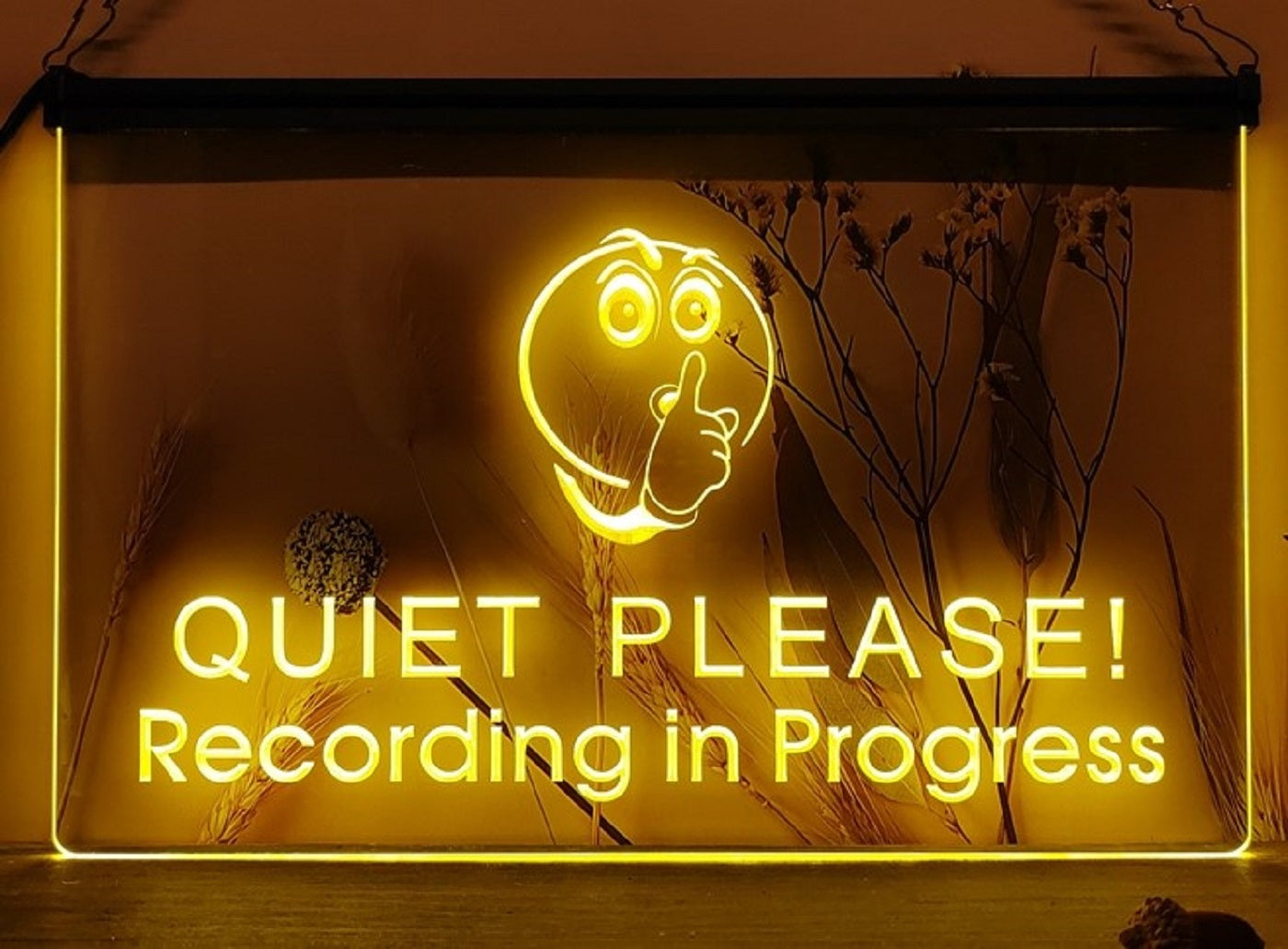 Quiet Please Recording In Progress Led Neon Sign Home Music Room Studio Decor