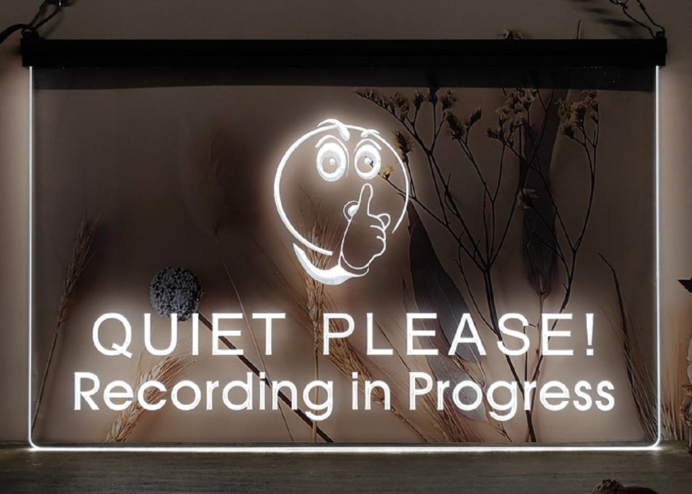 Quiet Please Recording In Progress Led Neon Sign Home Music Room Studio Decor