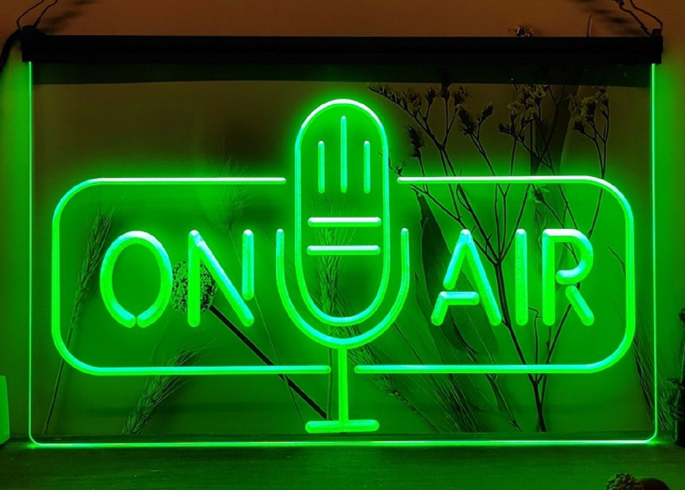 On Air Speaker Led Neon Sign Home Studio Room Audio Recording Studio Decor