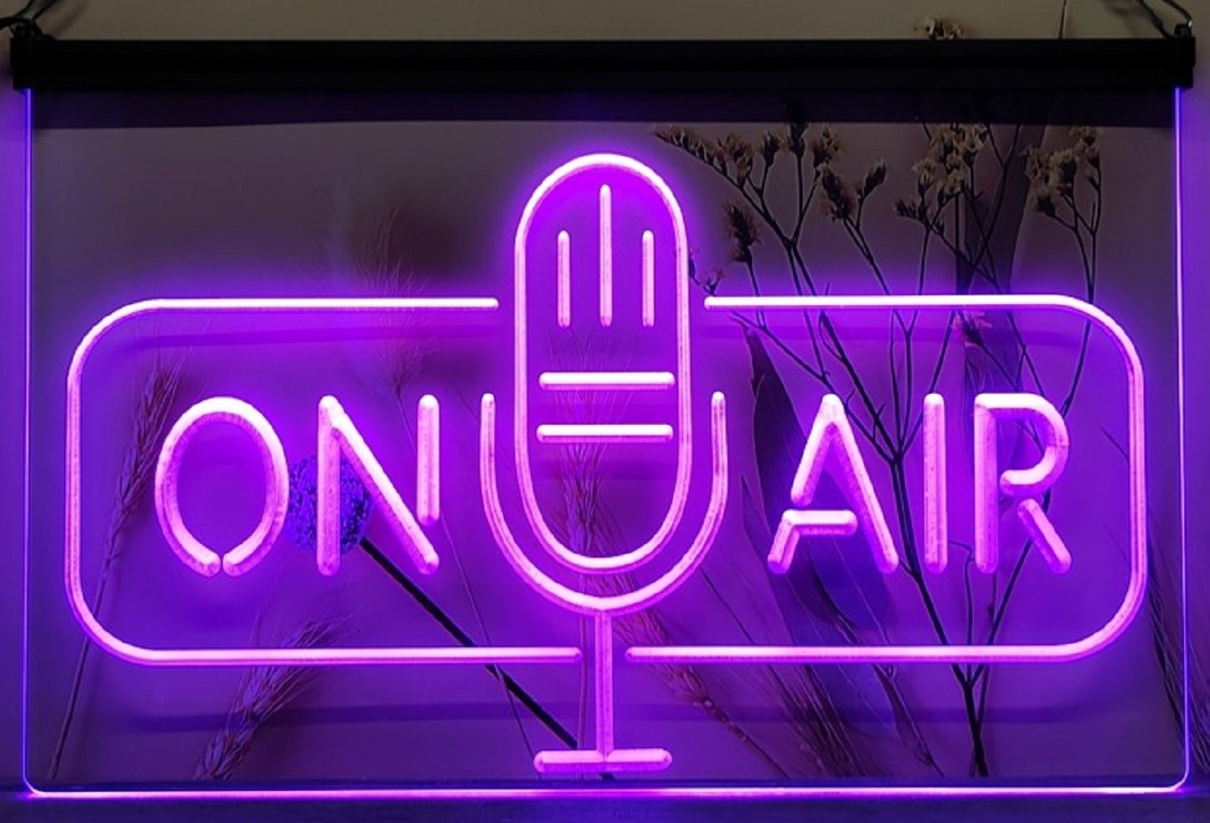 On Air Speaker Led Neon Sign Home Studio Room Audio Recording Studio Decor