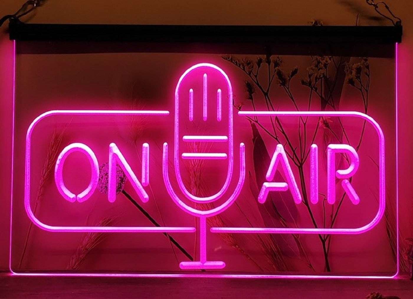 On Air Speaker Led Neon Sign Home Studio Room Audio Recording Studio Decor
