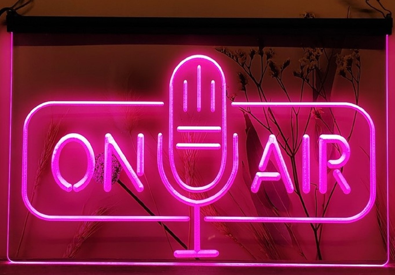 On Air Speaker Led Neon Sign Home Studio Room Audio Recording Studio Decor