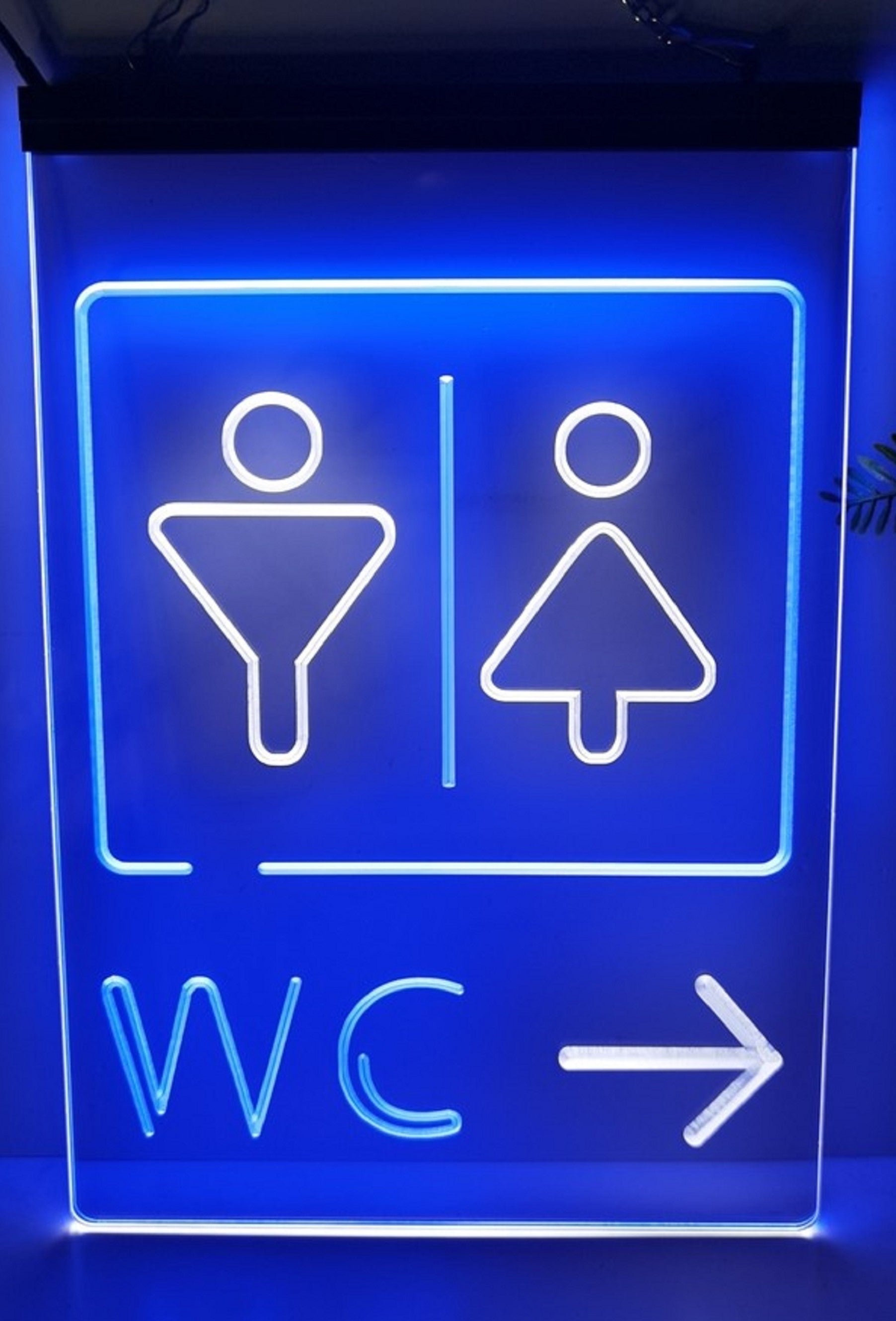Male Female WC Led Neon Sign Dual Color Store Restaurant Coffee Shop Office Decor
