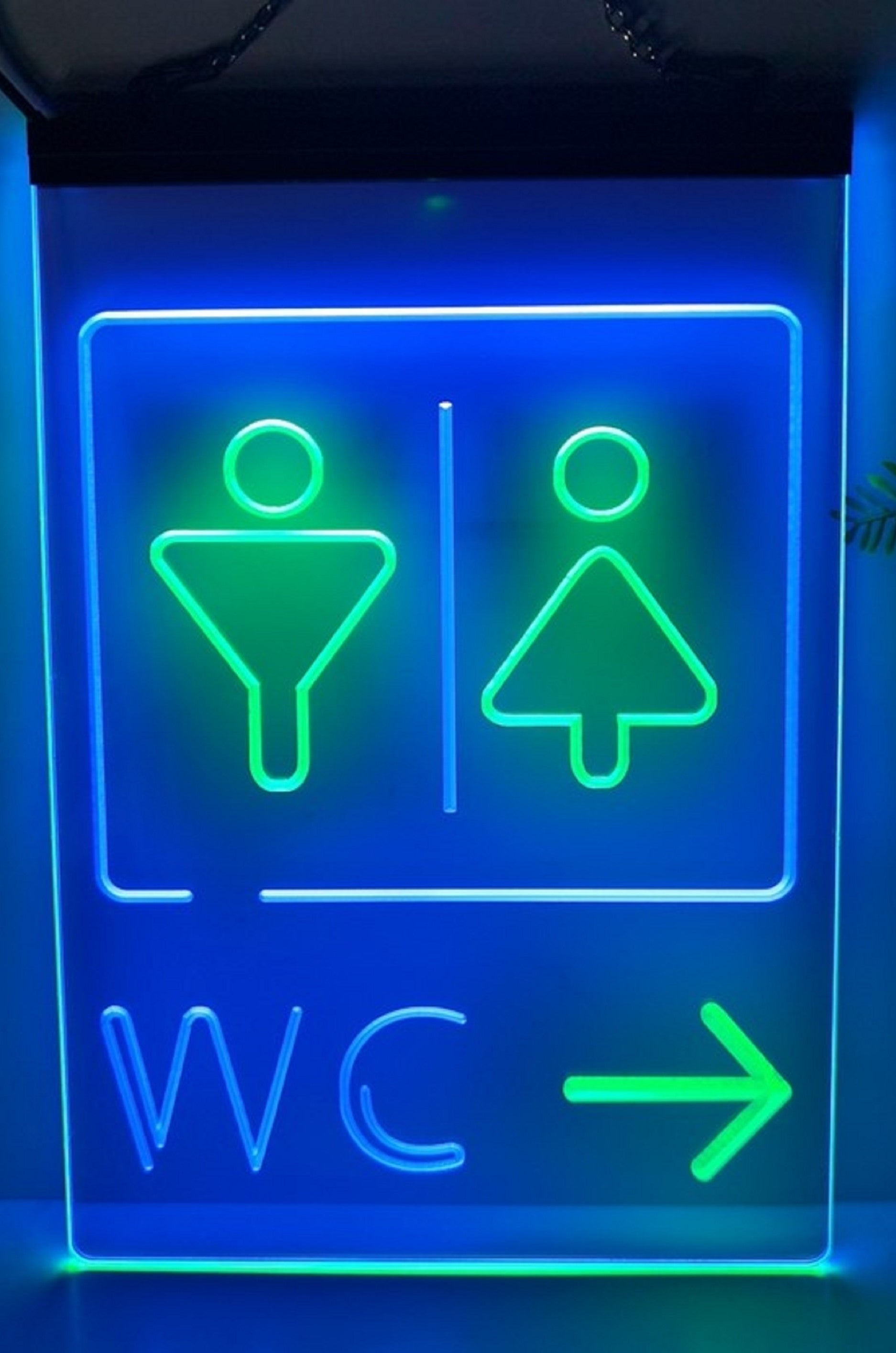 Male Female WC Led Neon Sign Dual Color Store Restaurant Coffee Shop Office Decor
