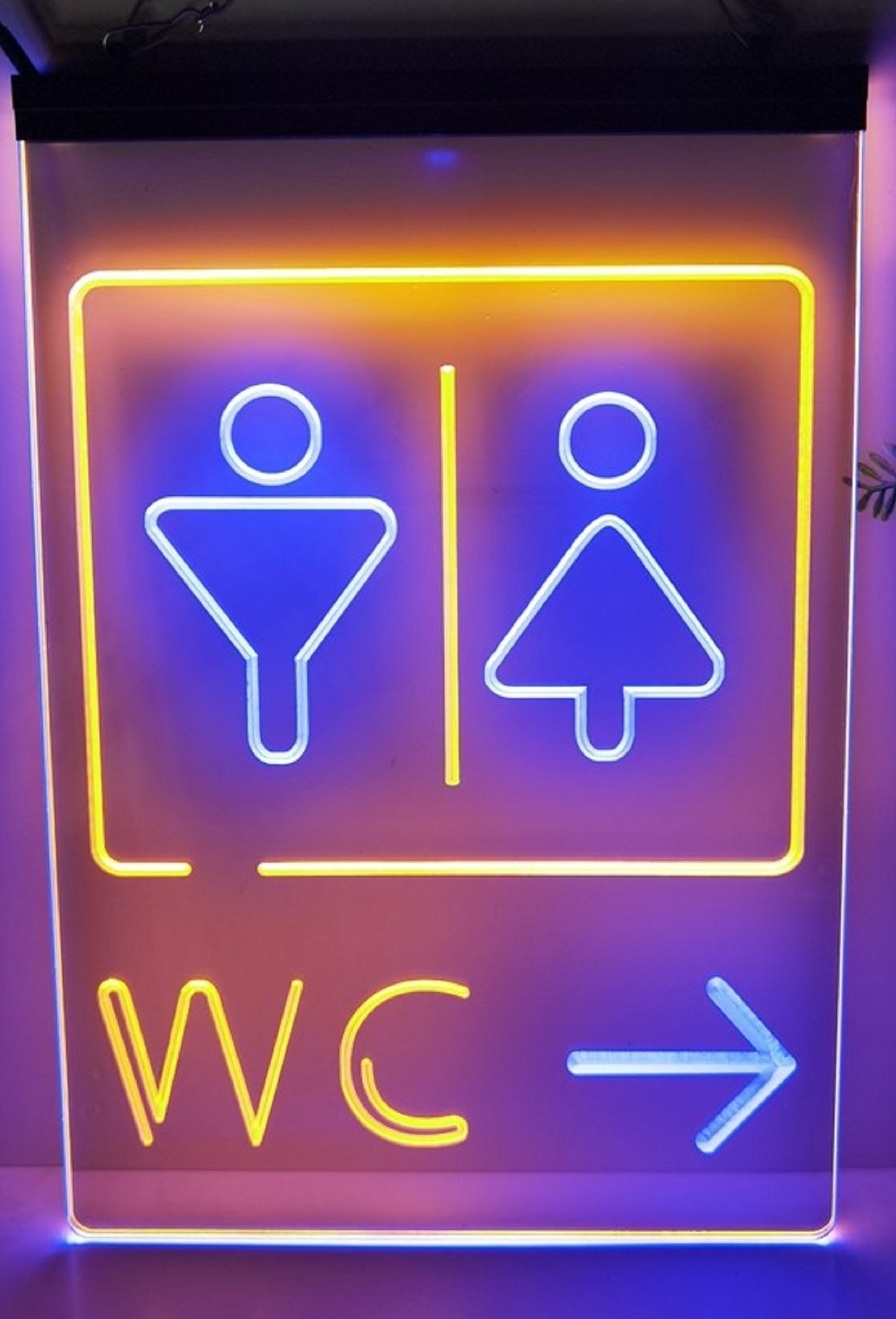 Male Female WC Led Neon Sign Dual Color Store Restaurant Coffee Shop Office Decor