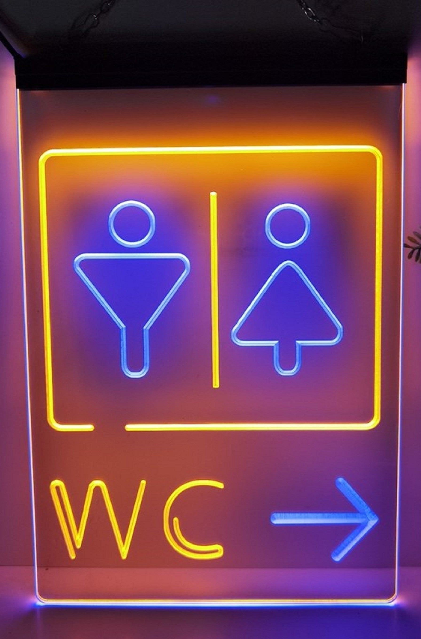 Male Female WC Led Neon Sign Dual Color Store Restaurant Coffee Shop Office Decor