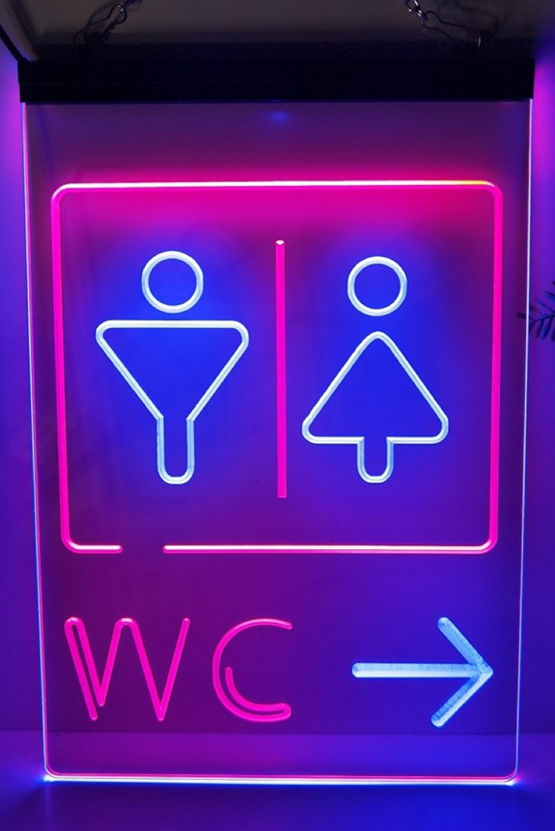 Male Female WC Led Neon Sign Dual Color Store Restaurant Coffee Shop Office Decor