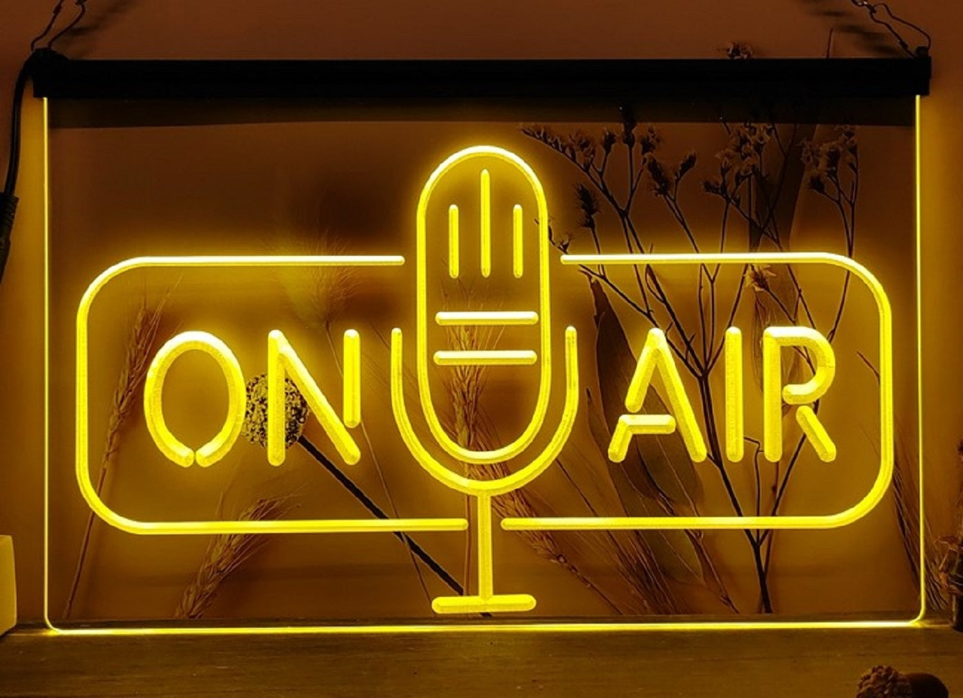 On Air Speaker Led Neon Sign Home Studio Room Audio Recording Studio Decor